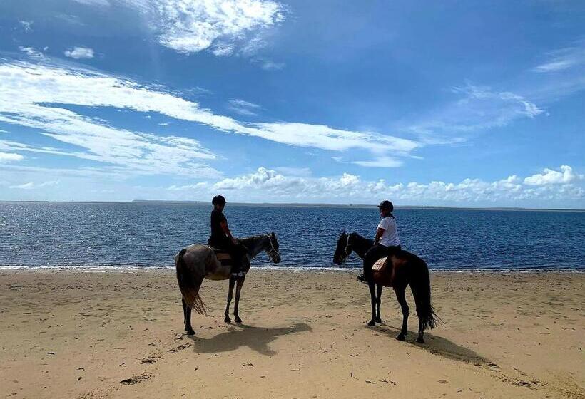 リゾートホテル Baobab Beach Vilanculos