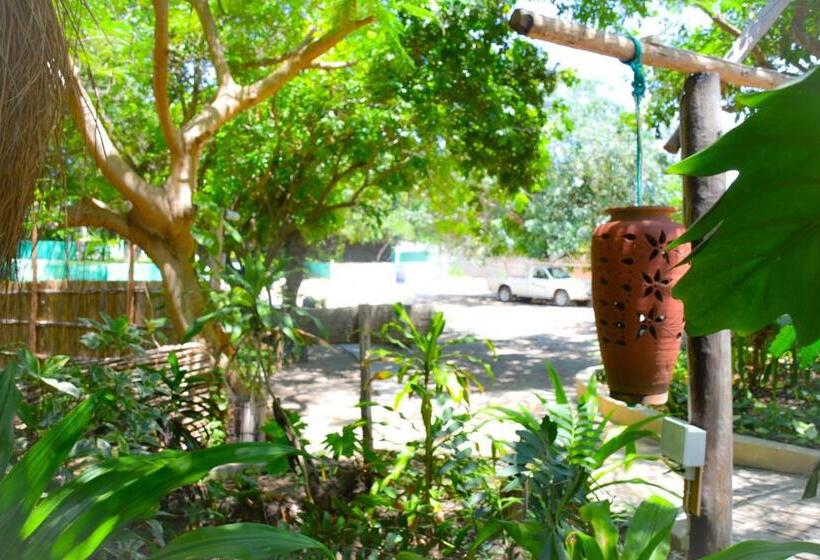 リゾートホテル Baobab Beach Vilanculos