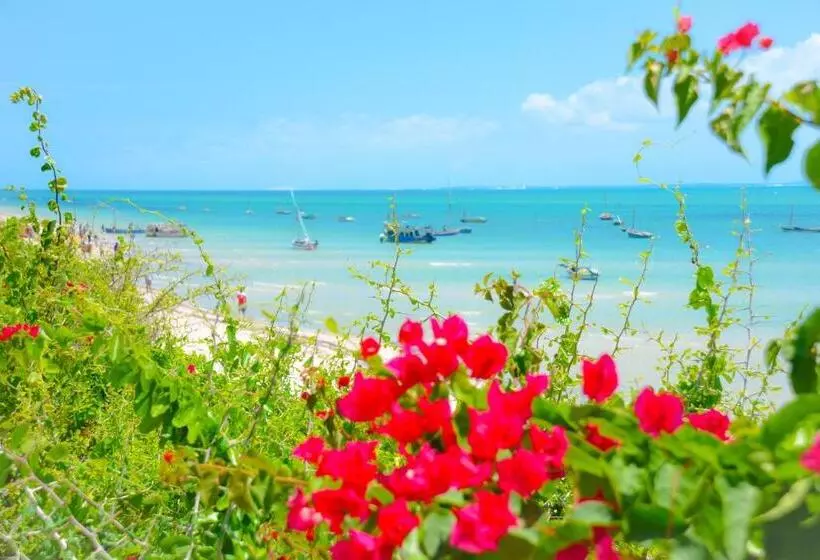 リゾートホテル Baobab Beach Vilanculos