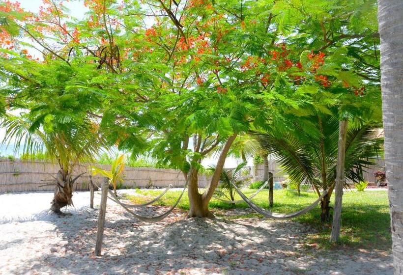 リゾートホテル Baobab Beach Vilanculos