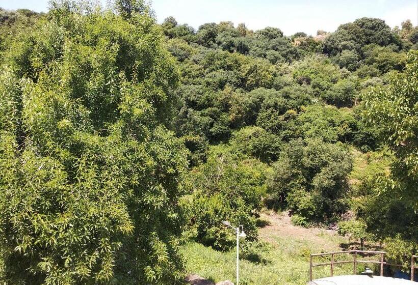 Пансион A Casa Di Pietro