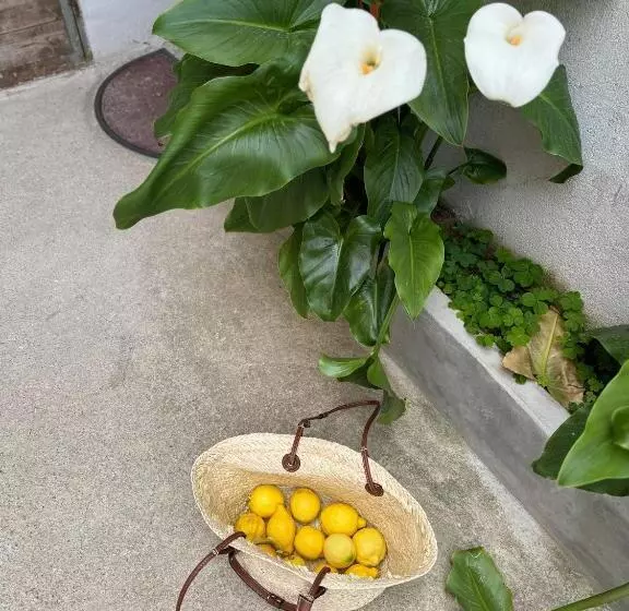 ペンション Iloghe Di Marras