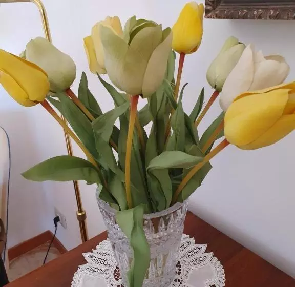 ペンション La Bellavita Rooms