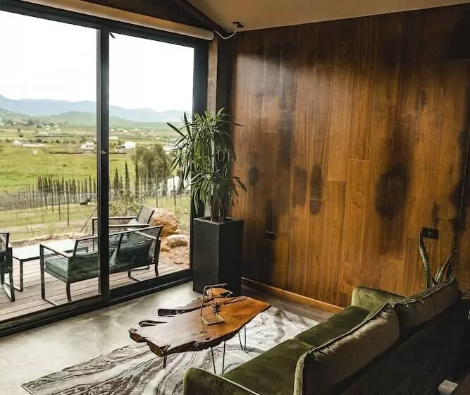 Bajo Estrellas Hotel Contemporáneo