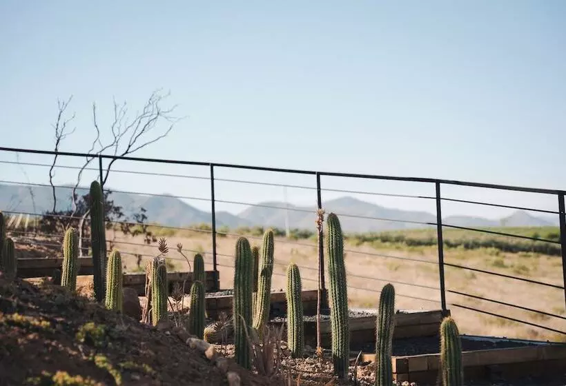 Bajo Estrellas Hotel Contemporáneo