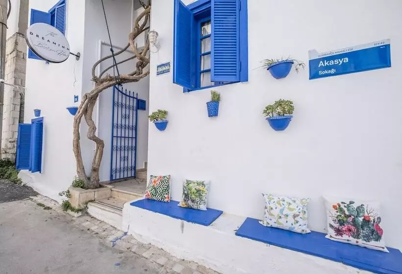 تختخواب و صبحانه Dreaminn