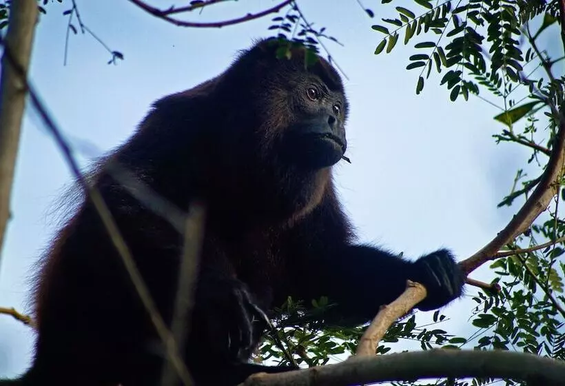 Hotelli Tropical Magnolia