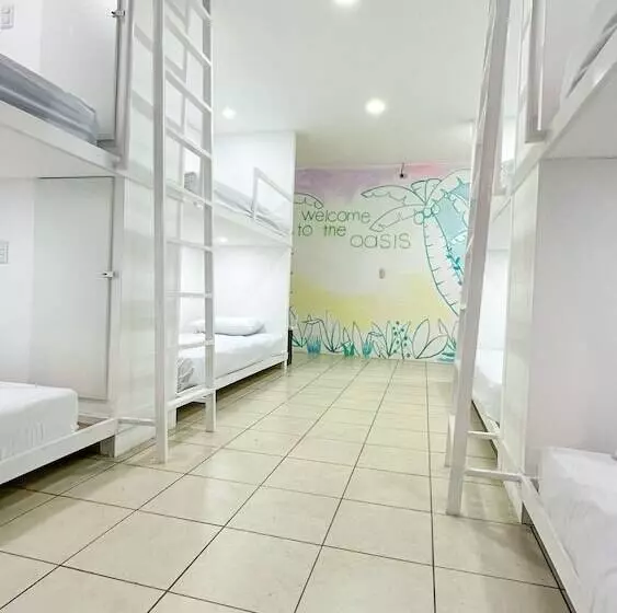 پانسیون Sjo Oasis Hostel