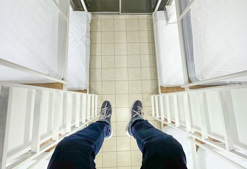 膳宿费 Sjo Oasis Hostel