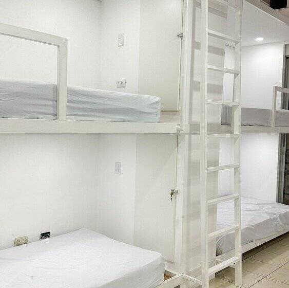 膳宿费 Sjo Oasis Hostel