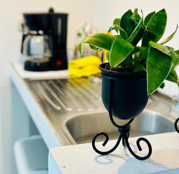 膳宿费 Sjo Oasis Hostel