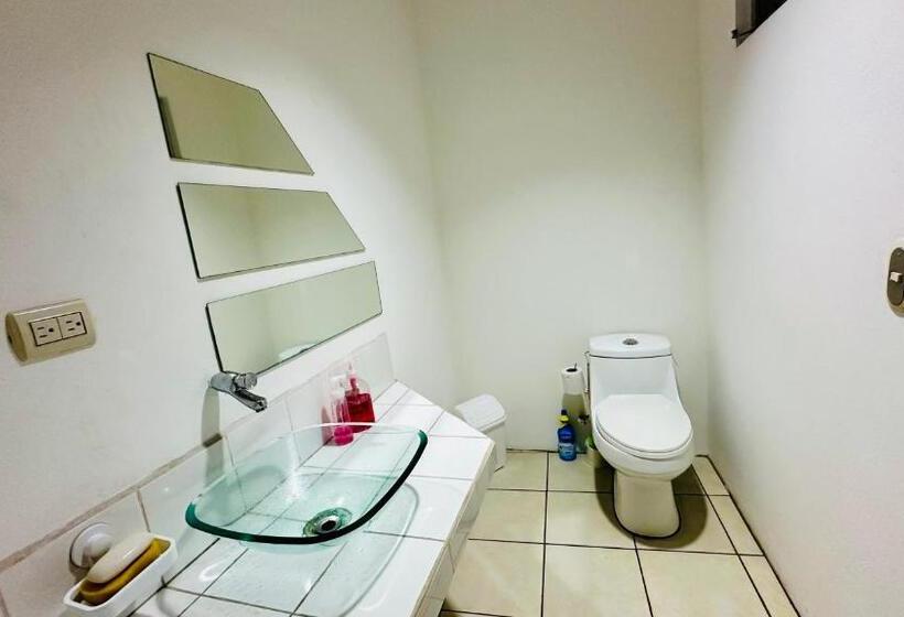 膳宿费 Sjo Oasis Hostel