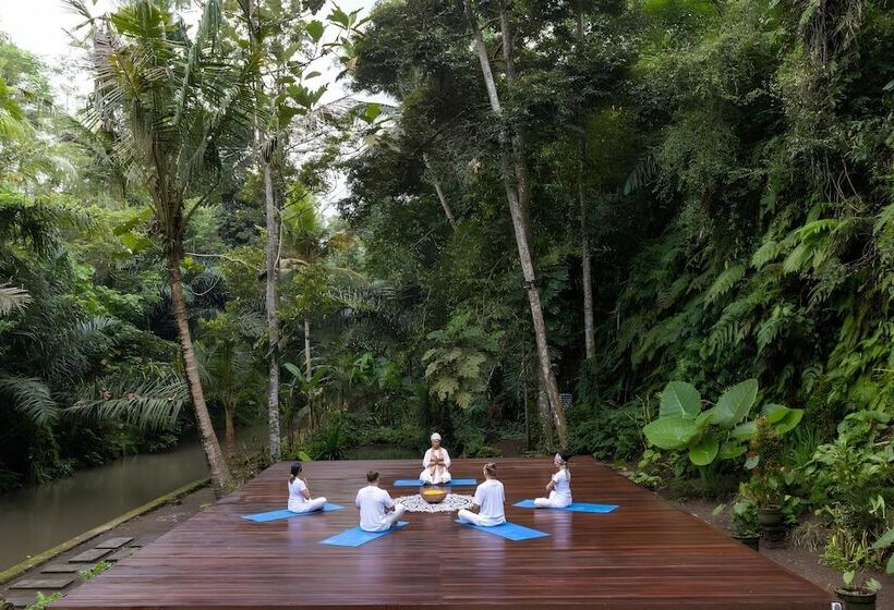 ホテル Tattva Ubud Retreat & Wellness