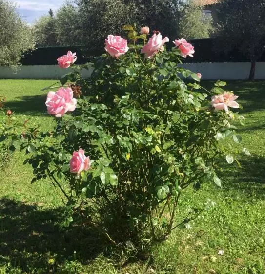 ベッドアンドブレックファースト Chambre Privée Dans Villa Provençale