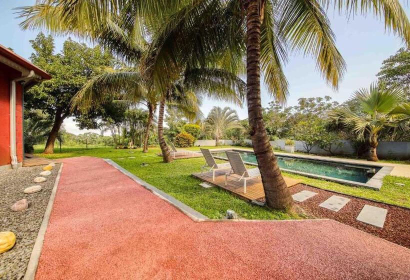 Bed and Breakfast Tipalais