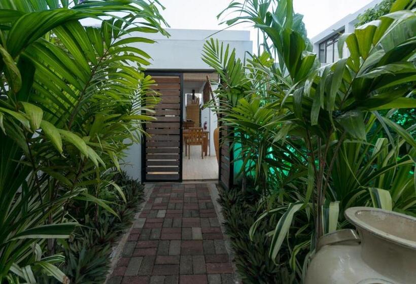 تختخواب و صبحانه Villa Alizee