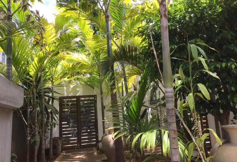 تختخواب و صبحانه Villa Alizee