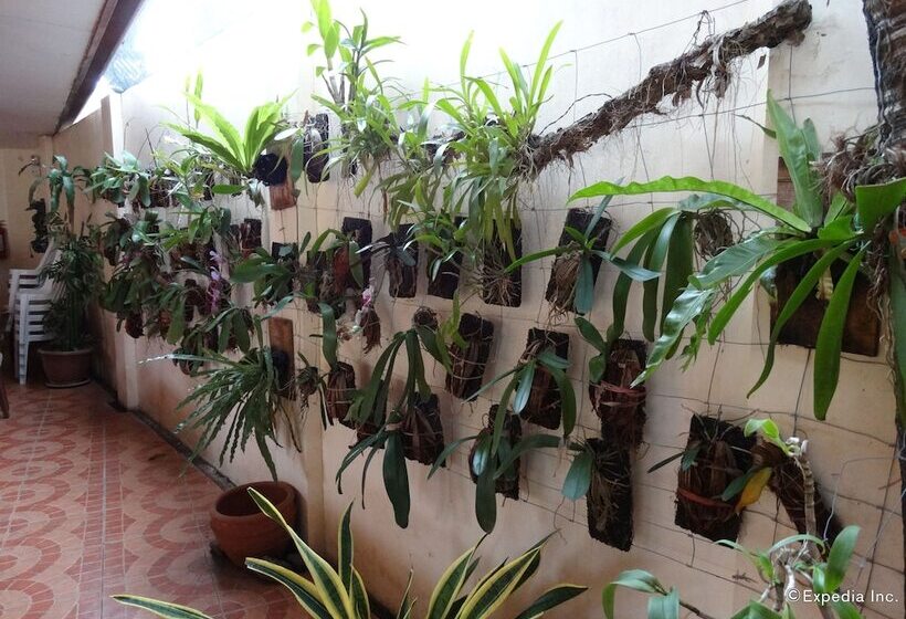 Bed and Breakfast Ysabelle Mansion