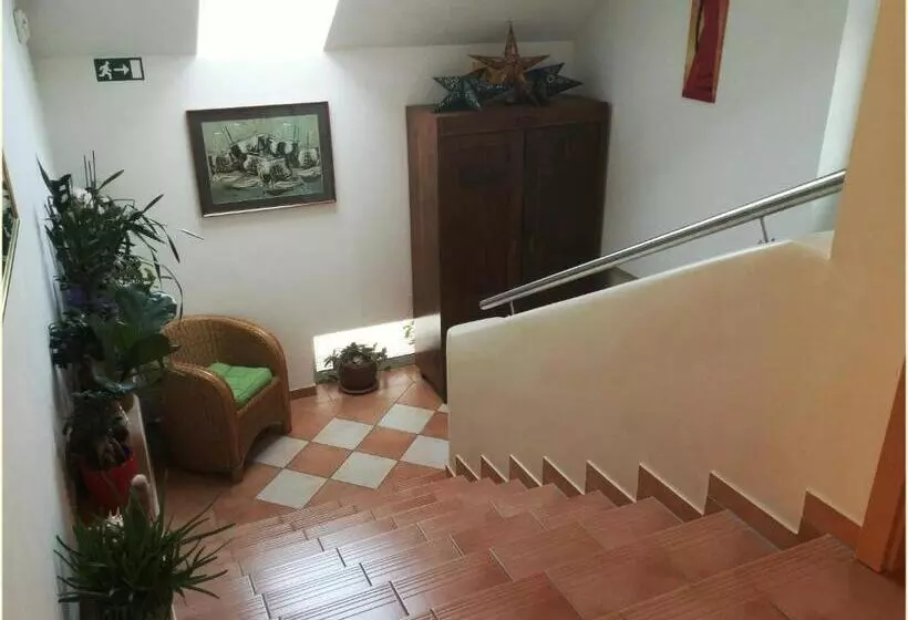 Hostel Sonce