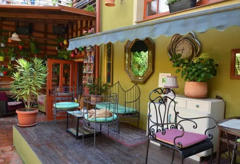 تختخواب و صبحانه Muzikafe   Home Of Culture