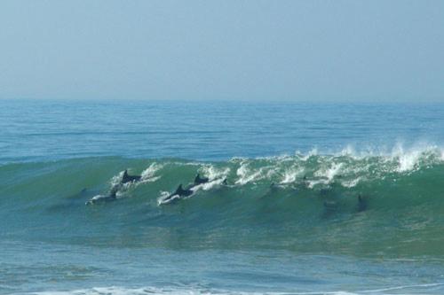 住宿加早餐 Breeze Inn Guesthouse