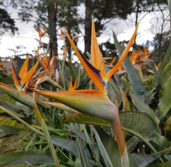 민박 Wildekrans Country House