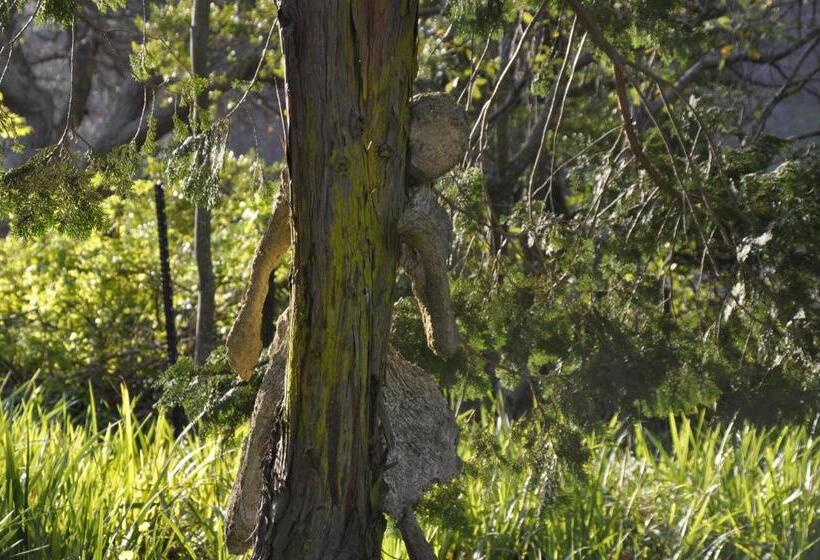 민박 Wildekrans Country House