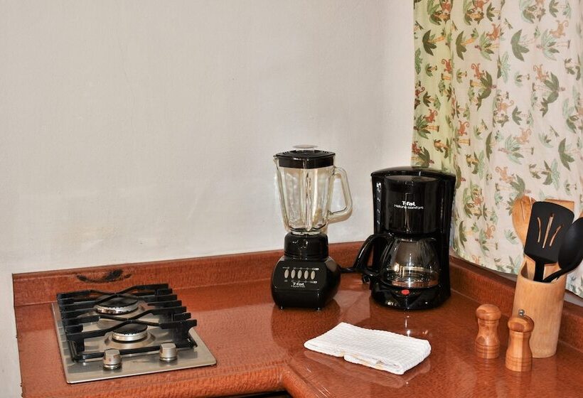 酒店 Don Miguel Plaza