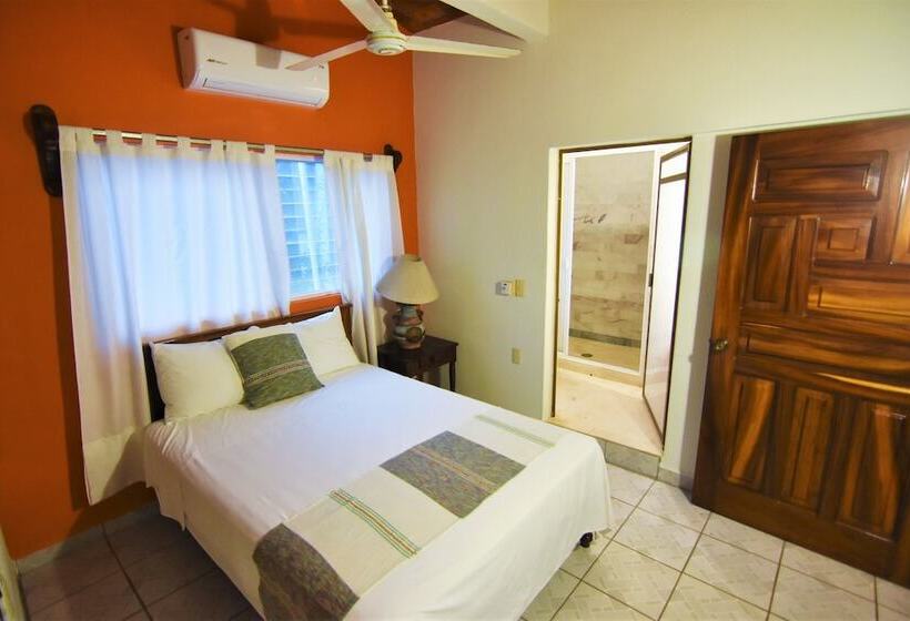 酒店 Don Miguel Plaza