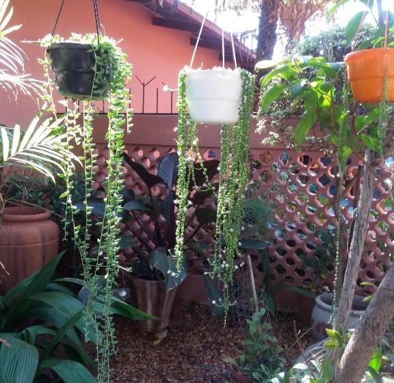 Reggies Bed & Breakfast