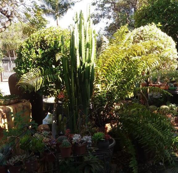 Reggies Bed & Breakfast