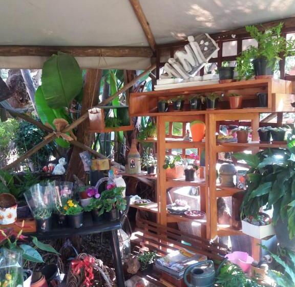 Reggies Bed & Breakfast