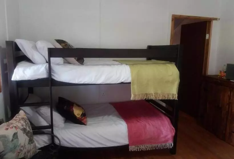 Reggies Bed & Breakfast