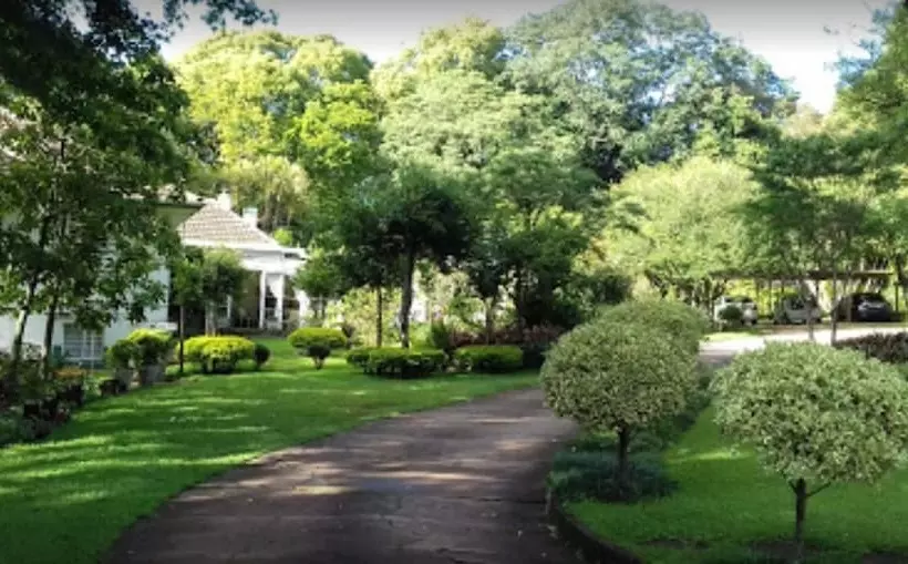 White House B&b