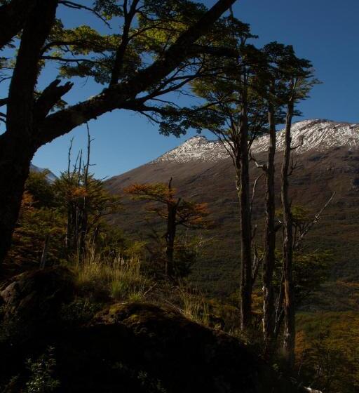 ホテル Hosteria Thiamalu