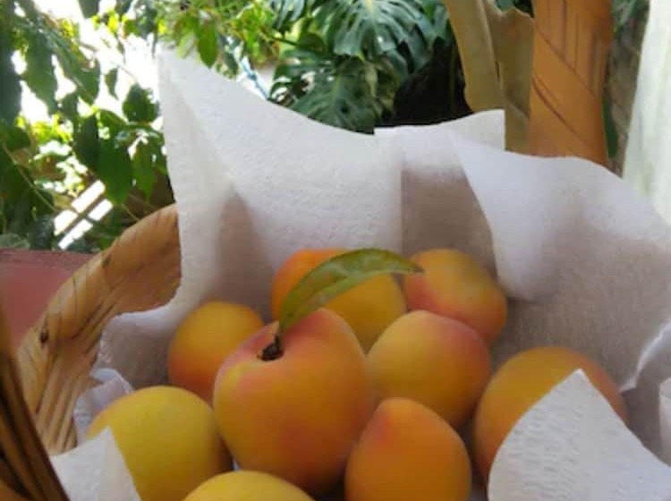 호텔 La Casona Breakfast & Wellness Center