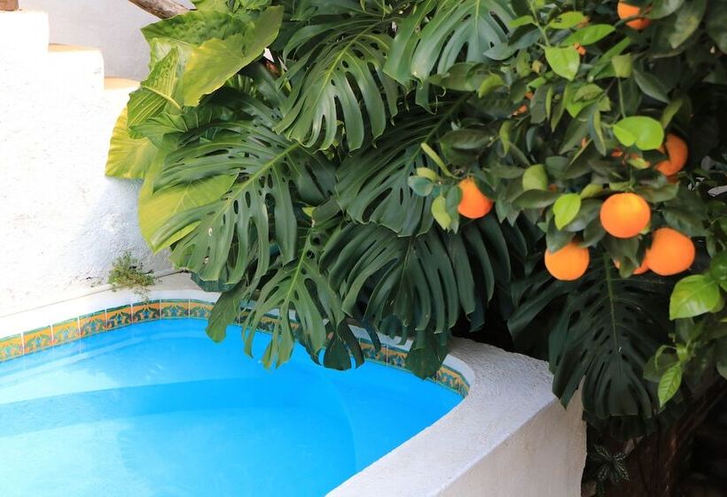 호텔 La Casona Breakfast & Wellness Center