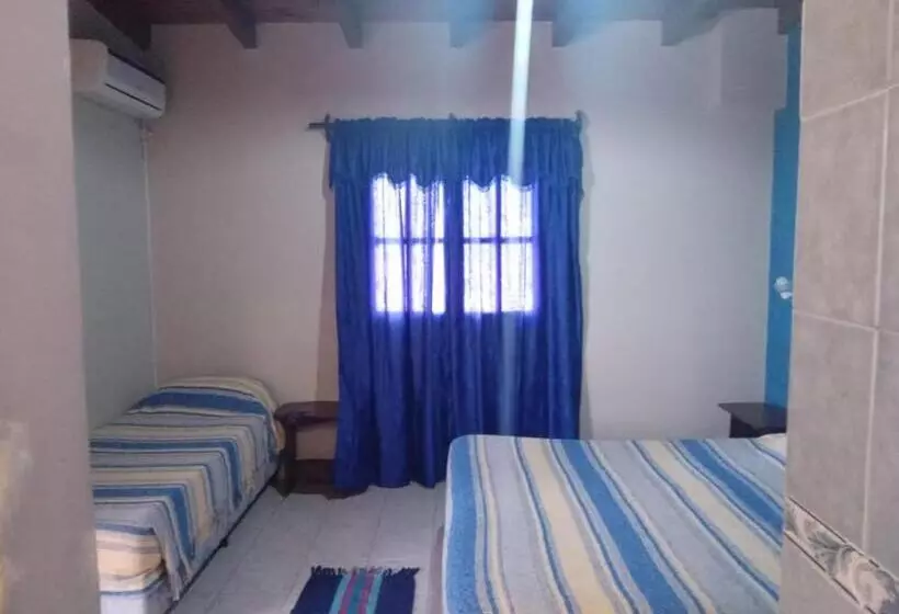 ホテル Hostal Amancay