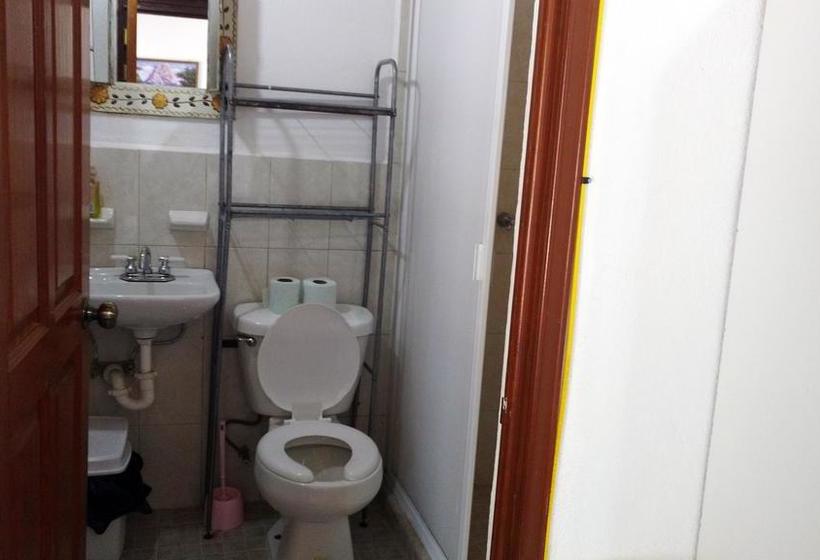 旅馆 Gran Hostal De Tequisquiapan