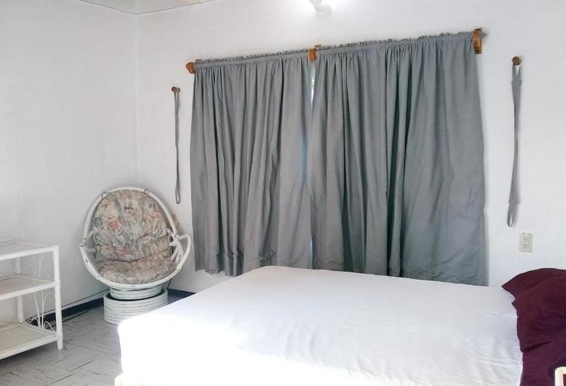 旅馆 Gran Hostal De Tequisquiapan