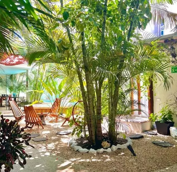 ベッドアンドブレックファースト Pacha Tulum