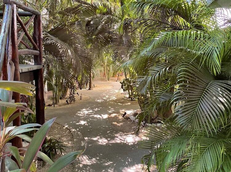 Bed and Breakfast Pacha Tulum