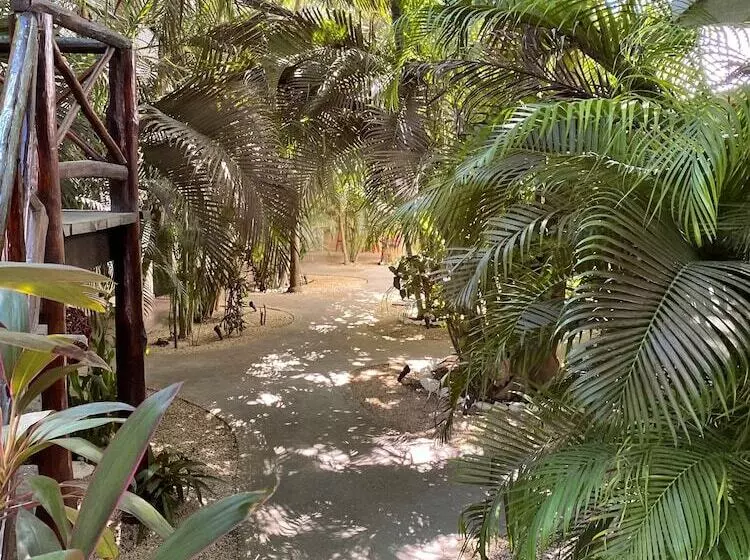 ベッドアンドブレックファースト Pacha Tulum