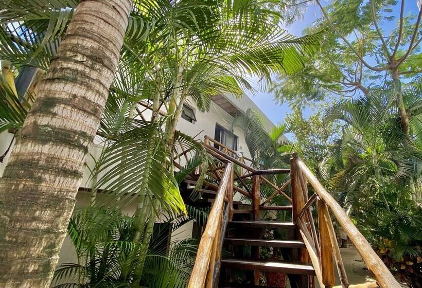Bed and Breakfast Pacha Tulum