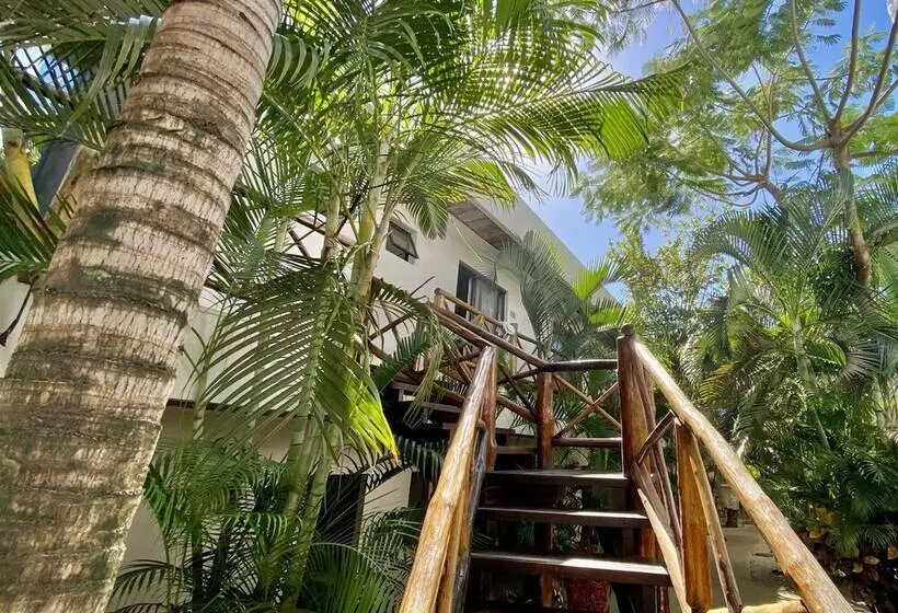 ベッドアンドブレックファースト Pacha Tulum