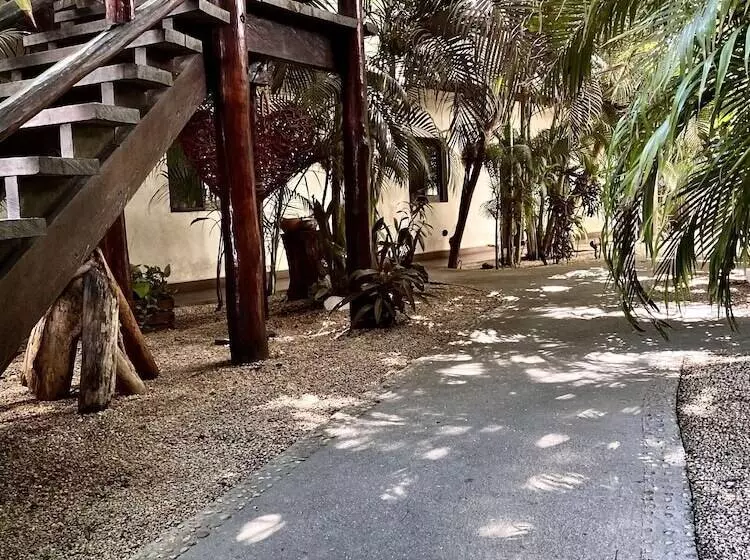 ベッドアンドブレックファースト Pacha Tulum