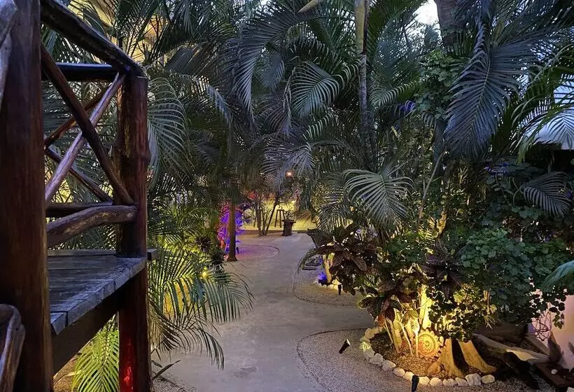 ベッドアンドブレックファースト Pacha Tulum