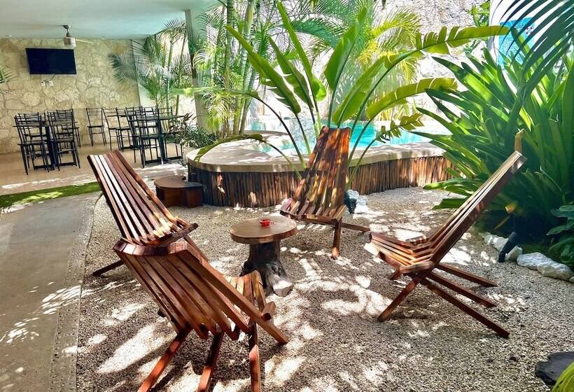 Bed and Breakfast Pacha Tulum