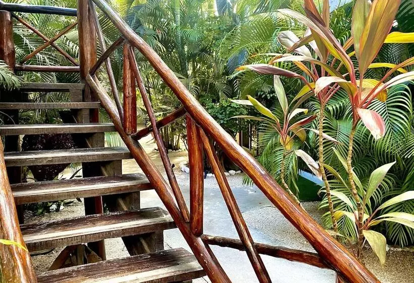 ベッドアンドブレックファースト Pacha Tulum