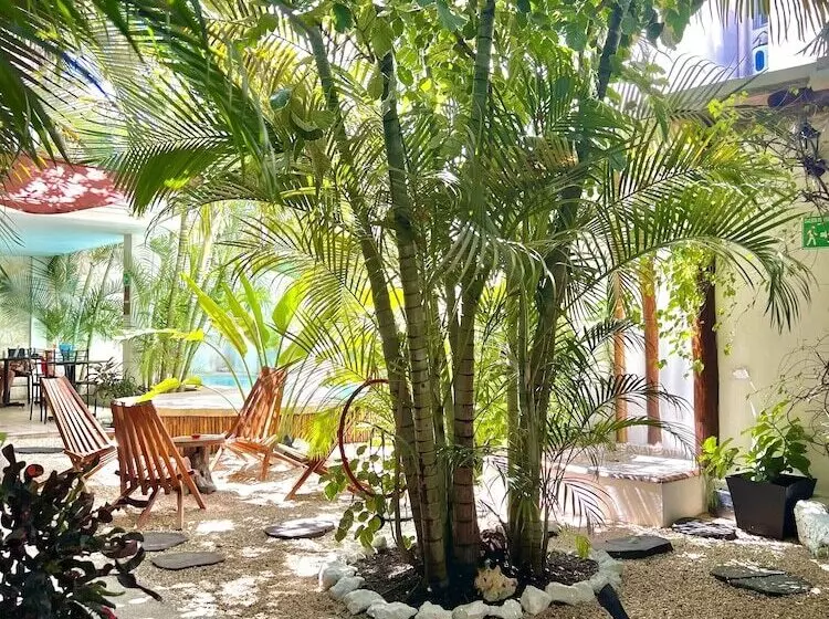 ベッドアンドブレックファースト Pacha Tulum